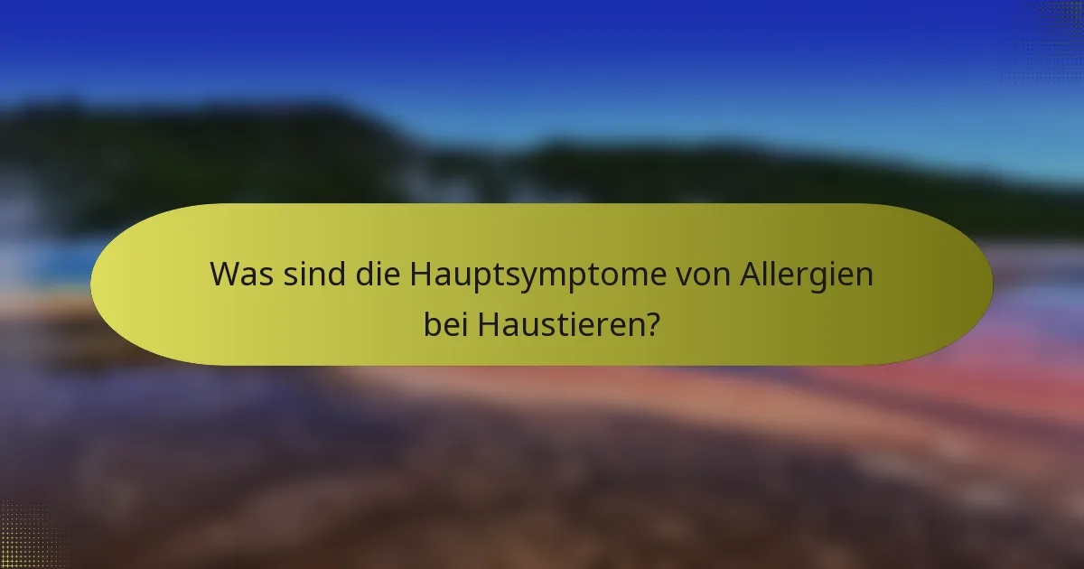 Was sind die Hauptsymptome von Allergien bei Haustieren?