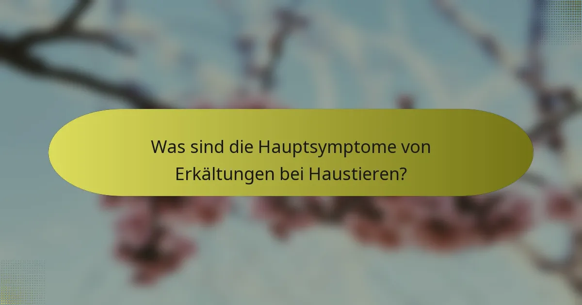 Was sind die Hauptsymptome von Erkältungen bei Haustieren?