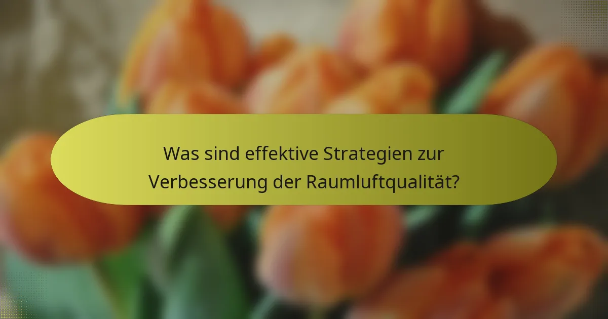 Was sind effektive Strategien zur Verbesserung der Raumluftqualität?