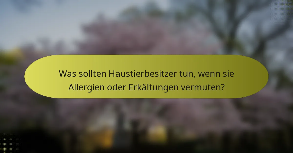 Was sollten Haustierbesitzer tun, wenn sie Allergien oder Erkältungen vermuten?